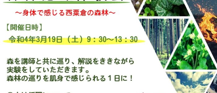 森林巡環体験会　~肌で感じる西粟倉の森林~