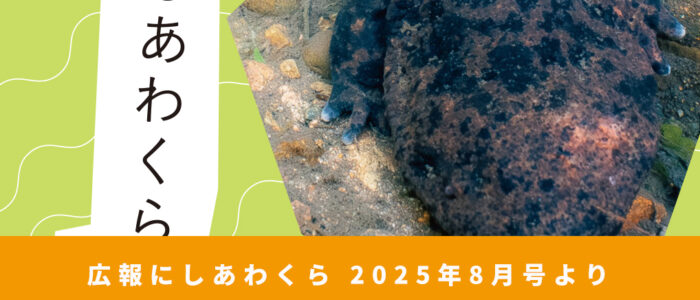 村の生物多様性ってどうなっとん？ 〜広報にしあわくら 2025年8月号より〜
